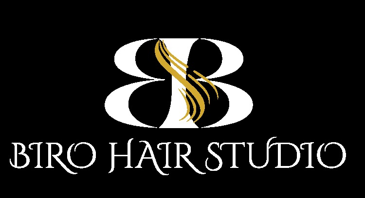 Biro hair studio logo